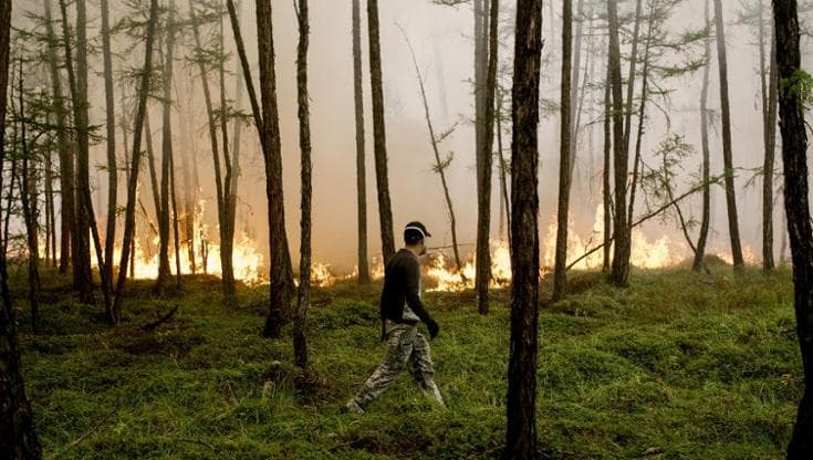 Gli incendi aumentano con il cambiamento climatico: lo studio