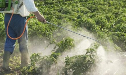 Pesticidi e cambiamenti climatici: oltre 500 sostanze usate in agricoltura danneggiano gli insetti