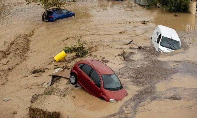 Riscaldamento globale, in quali regioni del pianeta il cambiamento climatico sta uccidendo