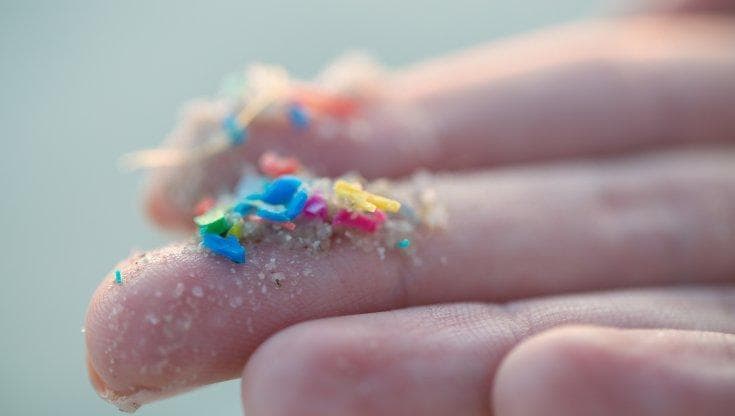 Microplastiche nelle acque reflue: nascondono virus e batteri