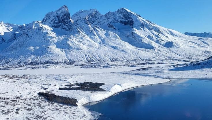 Perché piantare alberi nell’Artico potrebbe peggiorare il riscaldamento globale