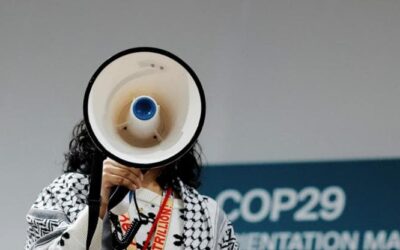 Pochi attivisti e cibo troppo caro, dietro le quinte di Cop29