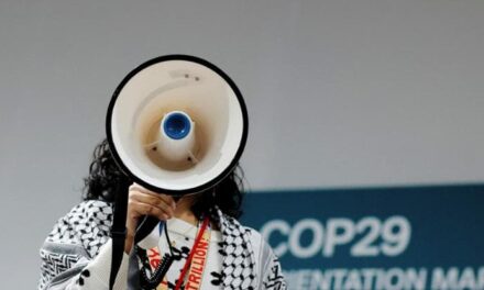 Pochi attivisti e cibo troppo caro, dietro le quinte di Cop29