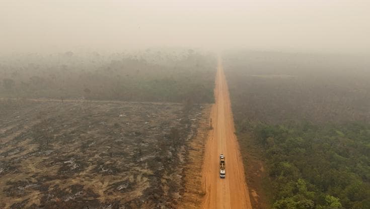 Ue, rinviata la legge contro la deforestazione: cosa c’è da sapere