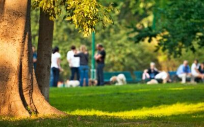 Dove vivete ci sono abbastanza alberi? Per scoprirlo c’è la regola del “3+30+300”