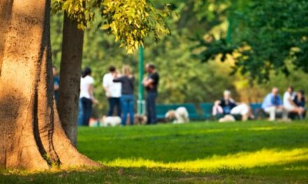 Dove vivete ci sono abbastanza alberi? Per scoprirlo c’è la regola del “3+30+300”