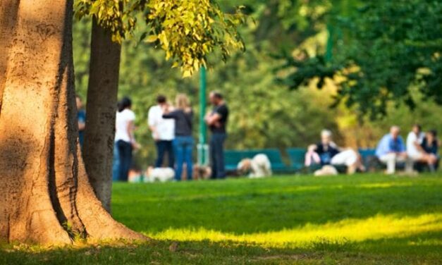 Dove vivete ci sono abbastanza alberi? Per scoprirlo c’è la regola del “3+30+300”