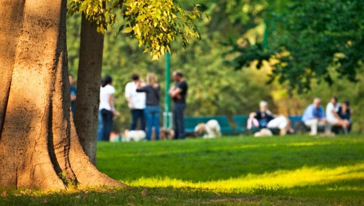 Dove vivete ci sono abbastanza alberi? Per scoprirlo c’è la regola del “3+30+300”