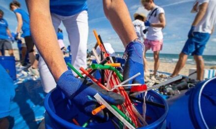 Dai rifiuti ai braccialetti, così 4Ocean ha ripulito mari e fiumi da 18 milioni di chili di plastica