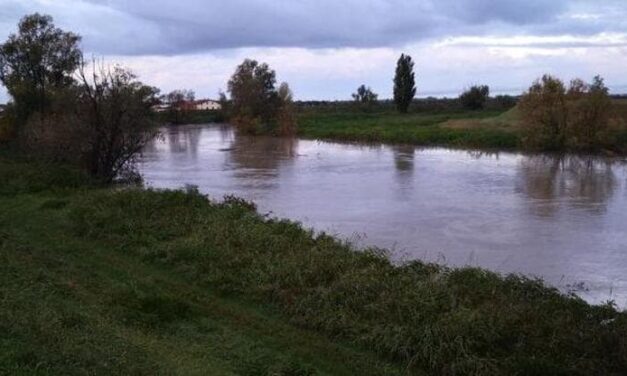 Lanciata una petizione per il Tagliamento: “Salviamo il re dei fiumi alpini”