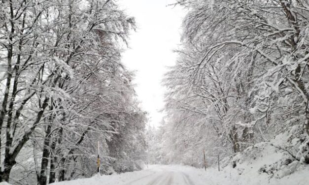 La Niña potrebbe arrivare presto e portare freddo e neve ma sarà debole e breve