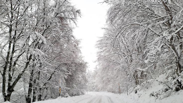 La Niña potrebbe arrivare presto e portare freddo e neve ma sarà debole e breve