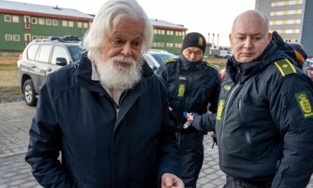 Paul Watson è libero, no della Danimarca all’estradizione in Giappone