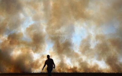 Il 2024 è il primo anno in cui si superano gli 1.5 gradi rispetto al livello preindustriale