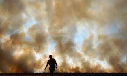 Il 2024 è il primo anno in cui si superano gli 1.5 gradi rispetto al livello preindustriale