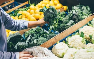 Crisi climatica, una primavera senza broccoli nel Regno Unito. E in Italia le arance più piccole