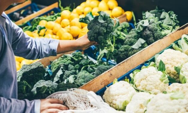 Crisi climatica, una primavera senza broccoli nel Regno Unito. E in Italia le arance più piccole