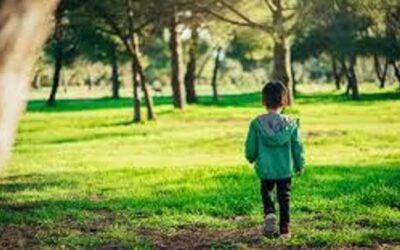 Educare alla sostenibilità, il Wwf lancia un corso e un manuale online gratuiti