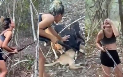 Uccide un puma e balla per la gioia: donna multata dopo l’indignazione sui social