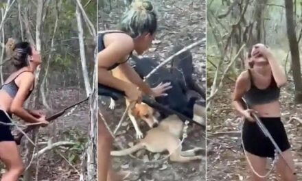 Uccide un puma e balla per la gioia: donna multata dopo l’indignazione sui social