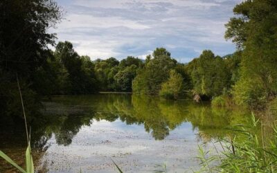 Scomparsa delle zone umide, in 300 anni l’Italia ne ha perse più del 75%