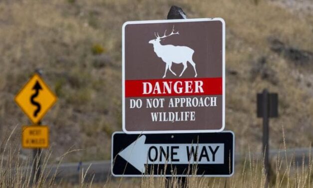 La crisi climatica sta velocizzando il turnover delle specie