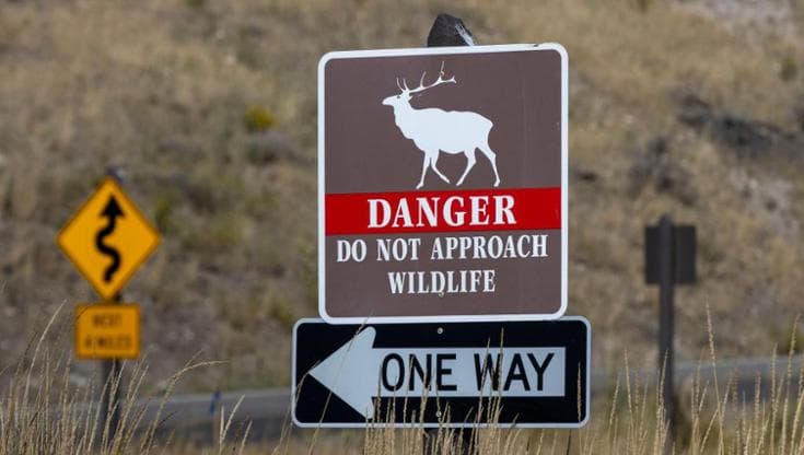 La crisi climatica sta velocizzando il turnover delle specie