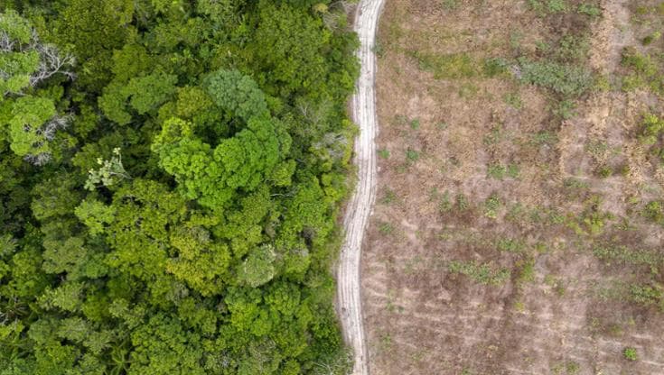 Cop16, gli aiuti al Sud del mondo per salvare la biodiversità