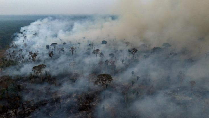 Cop16, nuovo round a Roma sulla biodiversità: “Serve uno sforzo globale”