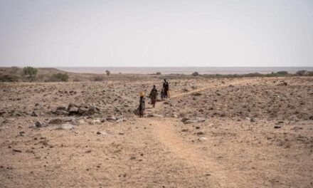 L’Africa supererà la soglia di +1,5 gradi di temperatura entro il 2040