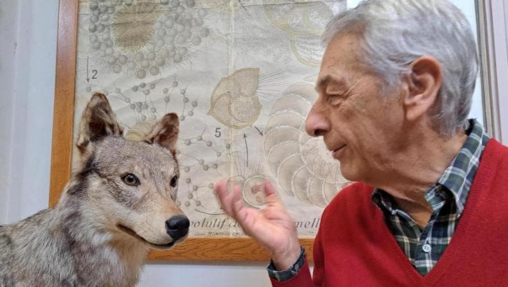 Giornata mondiale della fauna selvatica, Boitani: “Convivere con orsi e lupi si può”