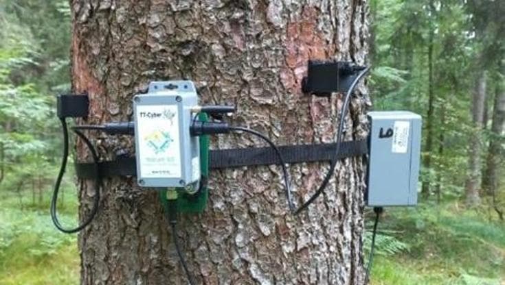 Lavori green, a caccia delle tecnologie per controllare alberi e piante