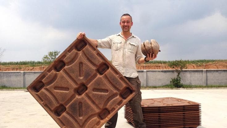 Il pallet fatto con i gusci della noce di cocco fa risparmiare alberi ed emissioni