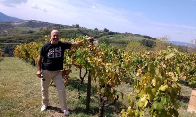 Lavori green, l’avvocato che difende l’ambiente: “Tante battaglie per il bene di tutti”