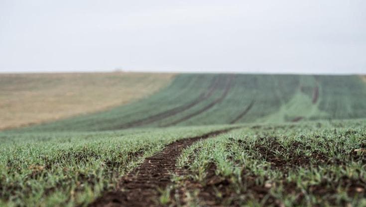 Crea: Italia terzo paese in Ue per acqua, 41% ad agricoltura